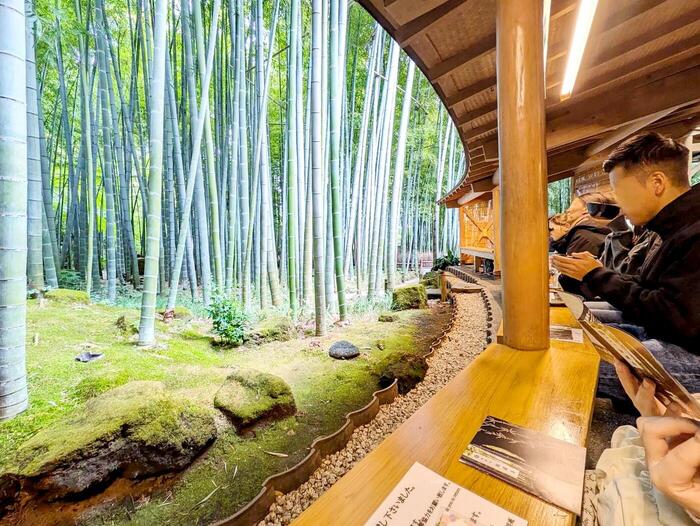 報国寺　休耕庵　逗子・鎌倉・江の島　GW　日帰りドライブ　モデルコース