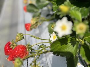 ブログイメージ