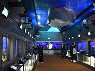 ブログイメージ