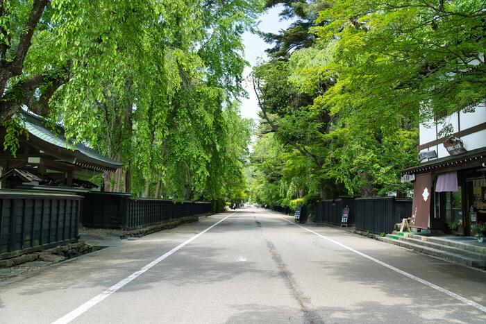 角館武家屋敷通り