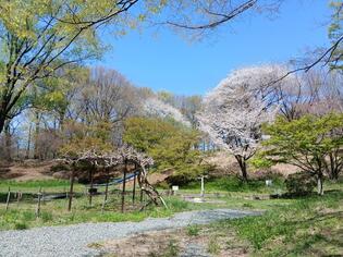 ブログイメージ