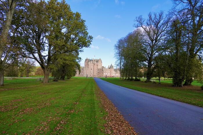 長い並木道 赤リス スコットランド 動物