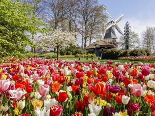 ブログイメージ