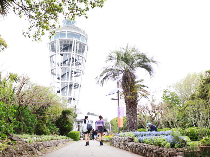 江の島サムエル・コッキング苑　　逗子・鎌倉・江の島　GW　日帰りドライブ　モデルコース