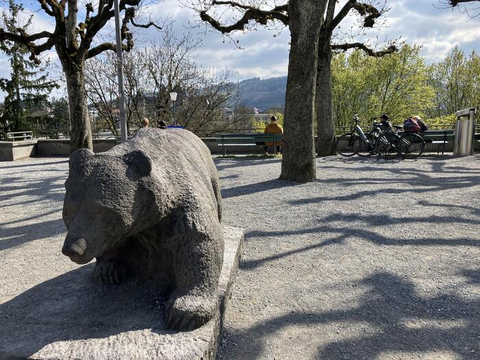 世界遺産　スイス・ベルン　観光　アーレ川　熊
