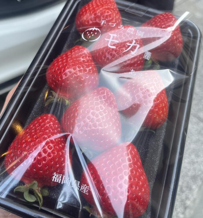 福岡 観光　野菜ソムリエ　手づみ農園モカ　いちご