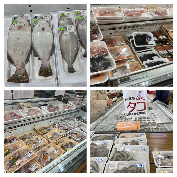 福岡 観光　野菜ソムリエ　JA糸島産直市場伊都菜彩　花