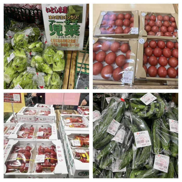 福岡 観光　野菜ソムリエ　JA糸島産直市場伊都菜彩　野菜