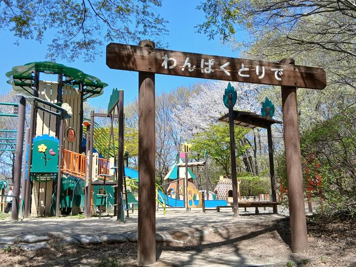 赤城山 嶺公園 冒険の森 群馬県　キッズ