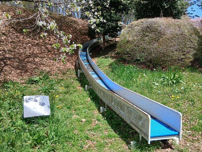 赤城山 嶺公園 冒険の森 群馬県　キッズ