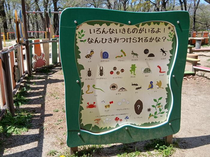 赤城山 嶺公園 冒険の森 群馬県　キッズ　生き物