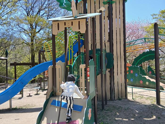 赤城山 嶺公園 冒険の森 群馬県　キッズ　遊園具