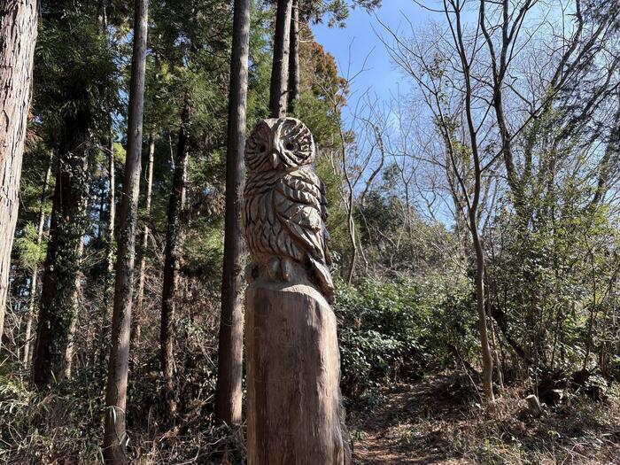 登山　ハイキング　相模原　城山湖　チェーンソーアート