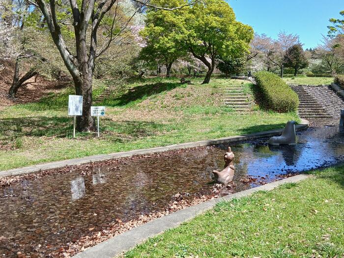 赤城山 嶺公園 水の広場 群馬県　