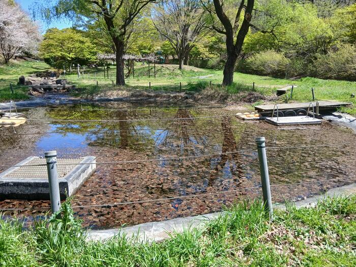 赤城山 嶺公園 水の広場　群馬県　水遊び