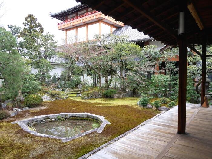 京都人の密かな愉しみ　観光　ロケ地　本法寺　巴の庭