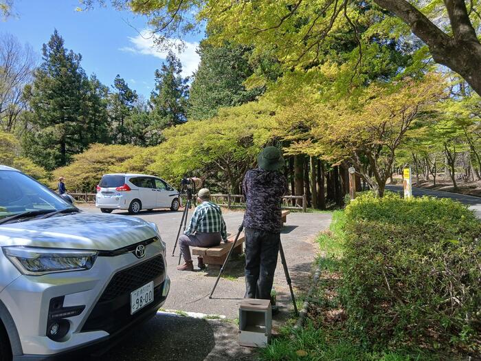 赤城山 嶺公園 群馬県　バードウォッチング　