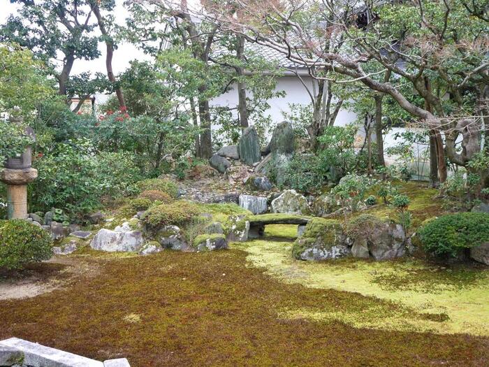 京都人の密かな愉しみ　観光　ロケ地　本法寺　石畳　多宝塔
