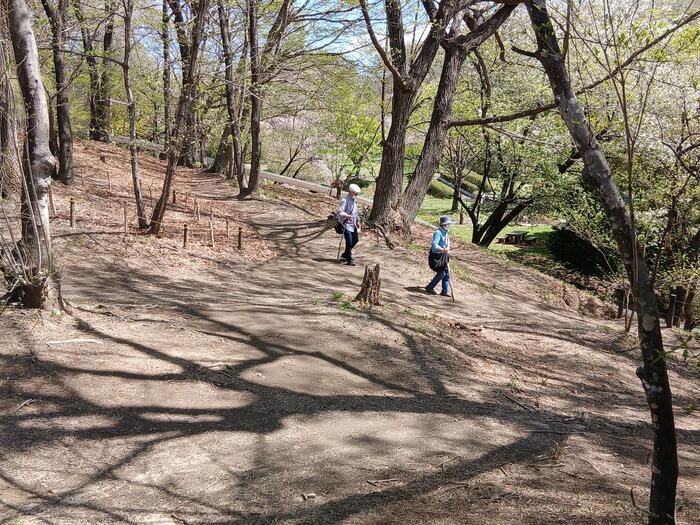 赤城山 嶺公園 群馬県　遊歩道　散歩