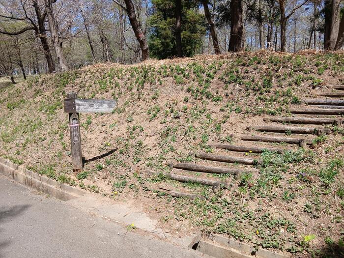 赤城山 嶺公園 群馬県　遊歩道　散歩