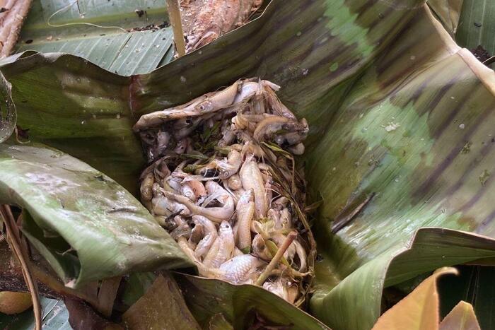 タイ　イサーン料理　グルメ　旅行　エビ　魚