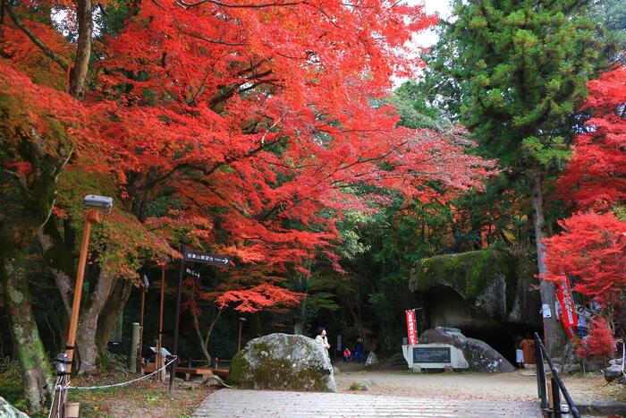 名古屋市 愛知 観光 穴場スポット　四季折々　紅葉