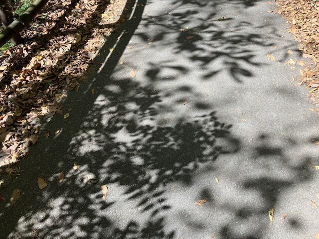道
