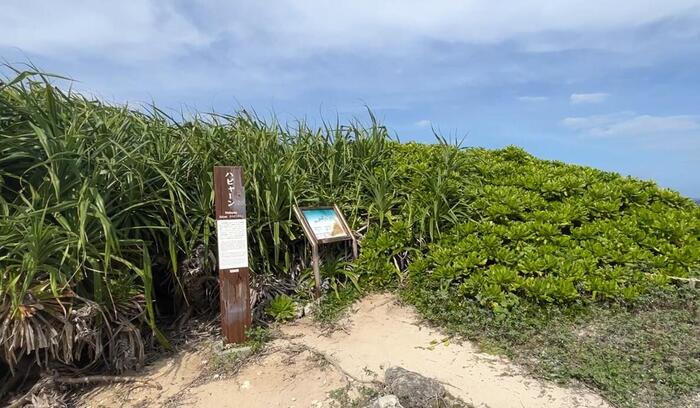 アマミキヨが降り立ったハビャーンの景色