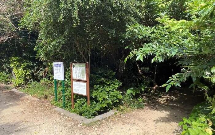 フボー御嶽の入り口のみどりで囲まれた景色