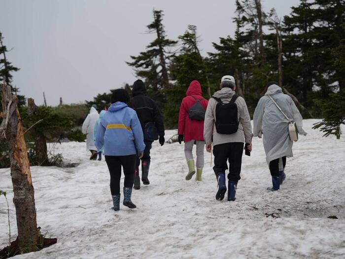 5月山頂