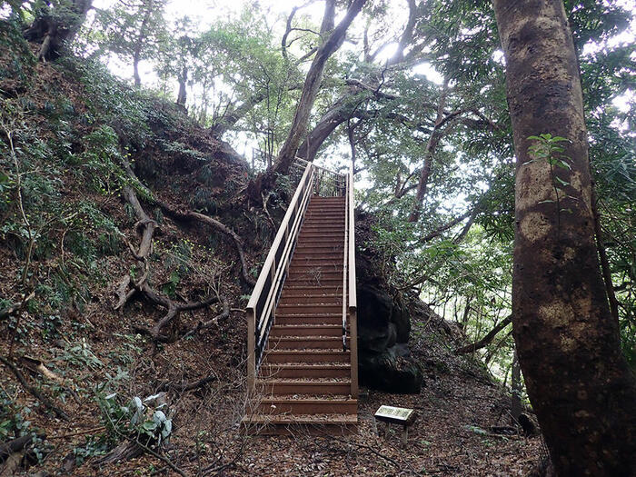 伊豆大島　海岸　観光　散策　大島公園海岸遊歩道