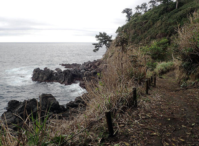 伊豆大島　海岸　観光　散策　大島公園海岸遊歩道