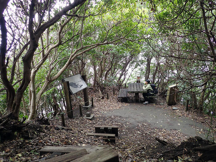 伊豆大島　海岸　観光　散策　大島公園海岸遊歩道