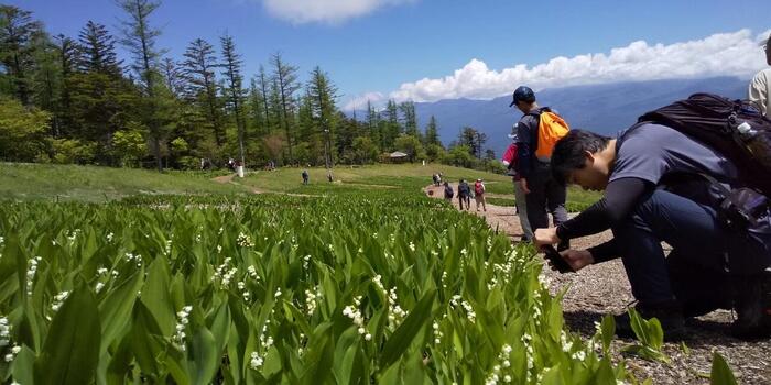 長野県　初夏 日帰り 信州 絶景　登山　ハイキング　すずらん　