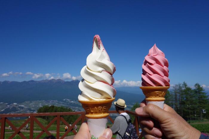 長野県　初夏 日帰り 信州 絶景　登山　ハイキング　入笠山　山頂カフェ