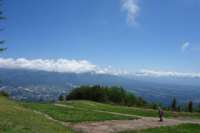 長野県　初夏 日帰り 信州 絶景　登山　ハイキング　入笠山　
