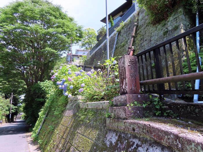 鎌倉市 観光 アジサイ シーズン 見頃 　極楽寺　成就院