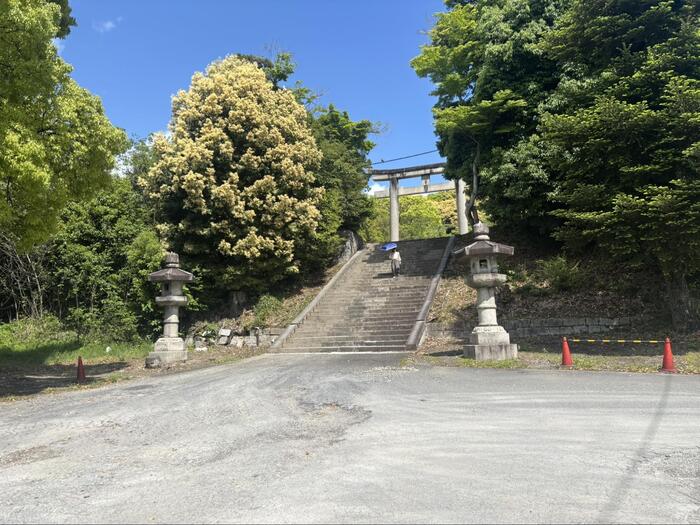 京都　観光　大河ドラマ　豊臣兄弟　秀吉　穴場スポット　豊国廟