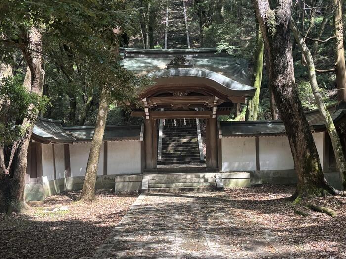 京都　観光　大河ドラマ　豊臣兄弟　秀吉　穴場スポット　豊国廟　唐門