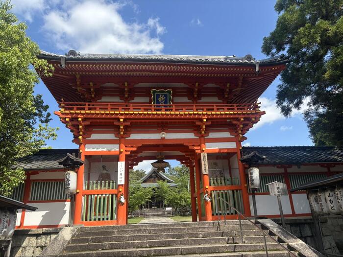 京都　観光　大河ドラマ　豊臣兄弟　秀吉　新日吉神宮　