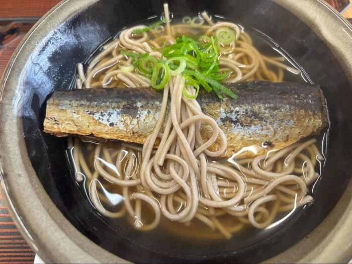 京都　観光　大河ドラマ　豊臣兄弟　秀吉　グルメ　まつ山　にしんそば　