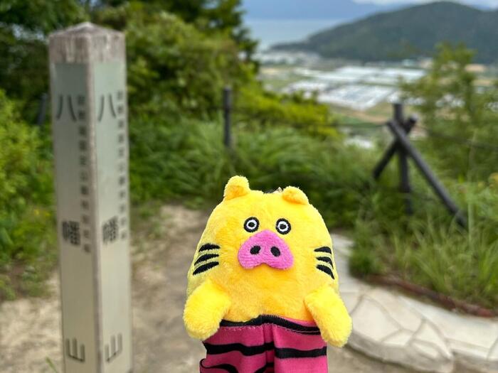 トラピッグin八幡山