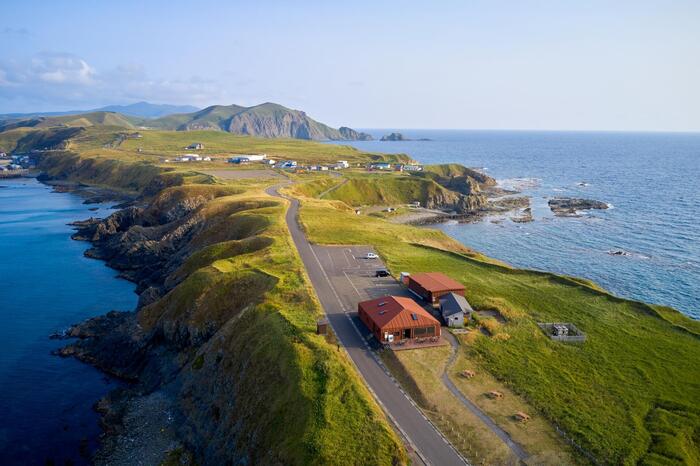 礼文島スコトン岬