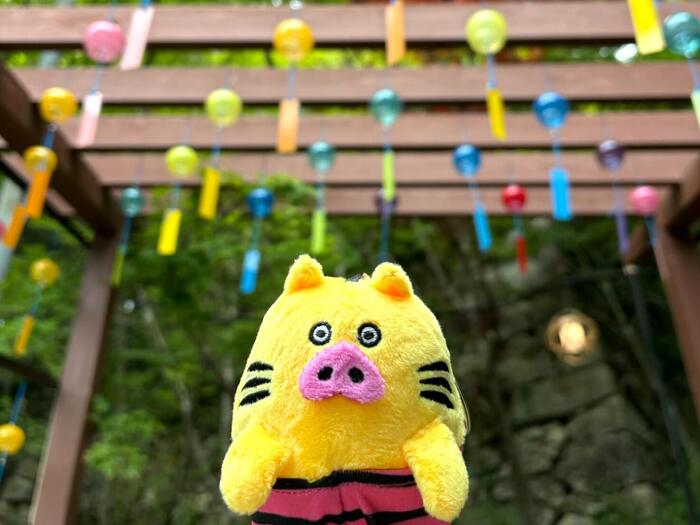 トラピッグと風鈴