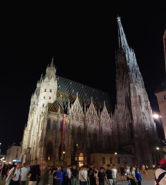 夜のウイーンの教会の長い夜のシュテファン広場にあつまる人たち