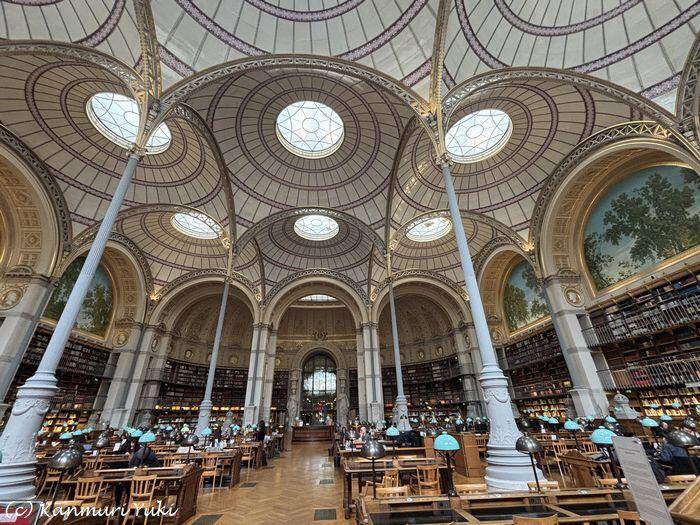 フランス、ミュージアムの図書ルームの広い天井