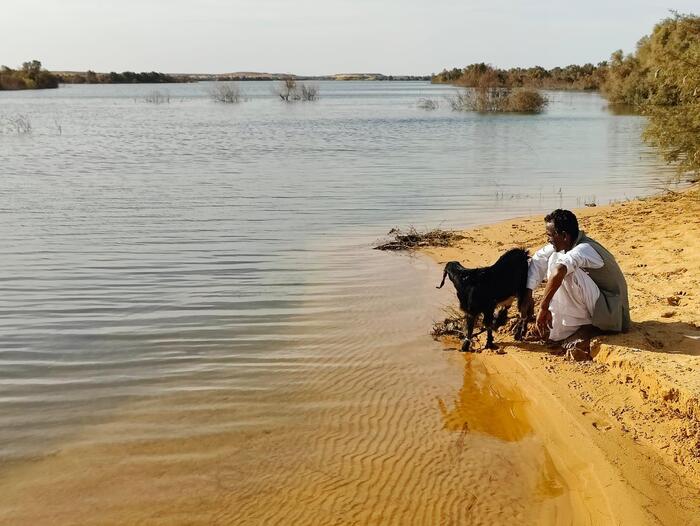 水辺にいる穏やかな一人の若い男性と犬