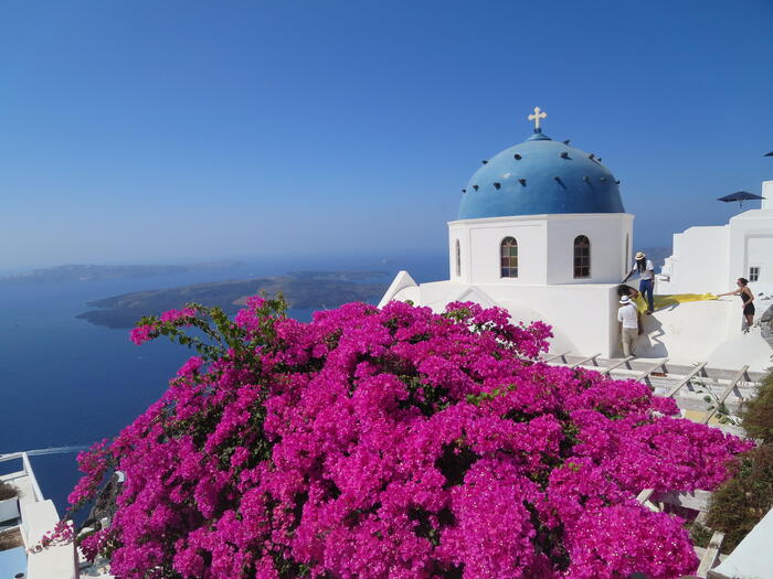 ブーゲンビリアの色鮮やかな景色とギリシャの建物