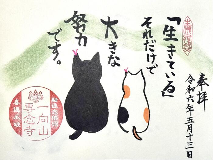一向山　専念寺　融通念仏宗　大阪府　大阪市　平野区　喜連　人形供養　悪縁切り　サクラネコ　日本一美しい迦陵頻伽　ネコ坊主　御朱印