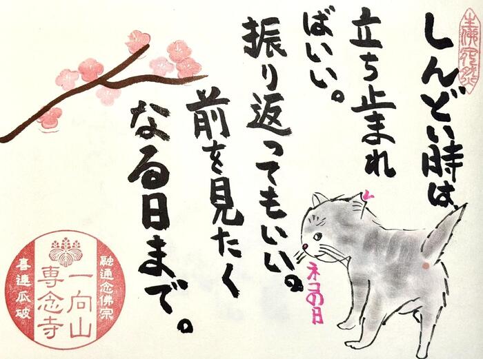 一向山　専念寺　融通念仏宗　大阪府　大阪市　平野区　喜連　人形供養　悪縁切り　サクラネコ　日本一美しい迦陵頻伽　ネコ坊主　御朱印